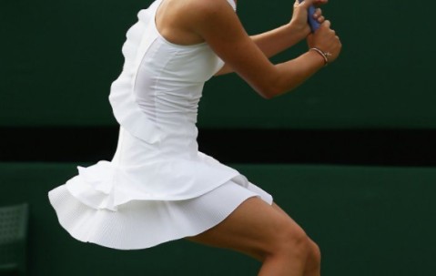 NG体育- 莎拉波娃谁最漂亮 